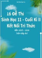 Tuyển tập 16 Đề thi cuối kì 2 năm học 2025-2026 môn Sinh học 11 KNTT (Kèm đáp án)